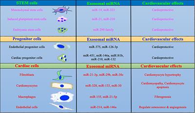 Cardiac Fibroblasts and Cardiac Fibrosis: Precise Role of Exosomes